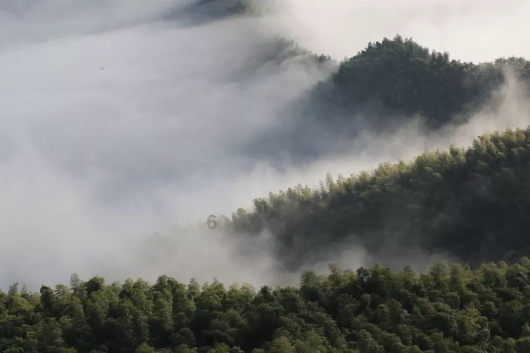 探索怎样做出好吃的面？热门话题 | 怎样做出好吃的面？红迪网平台